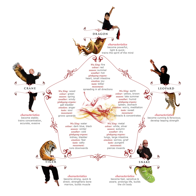 Kung Fu and its many styles - infographic