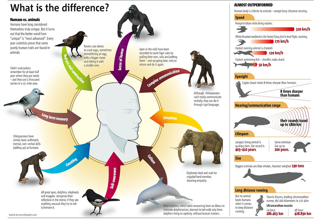 humans-can-be-called-as-advanced-animals-infographics